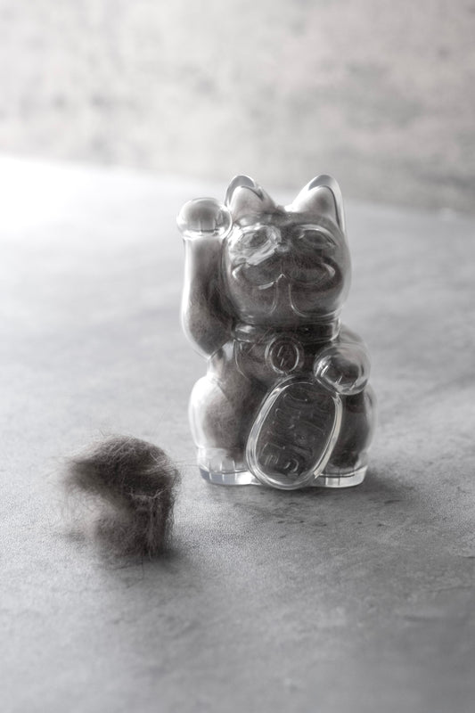 10cm 招財貓巴夫錢罌-透明